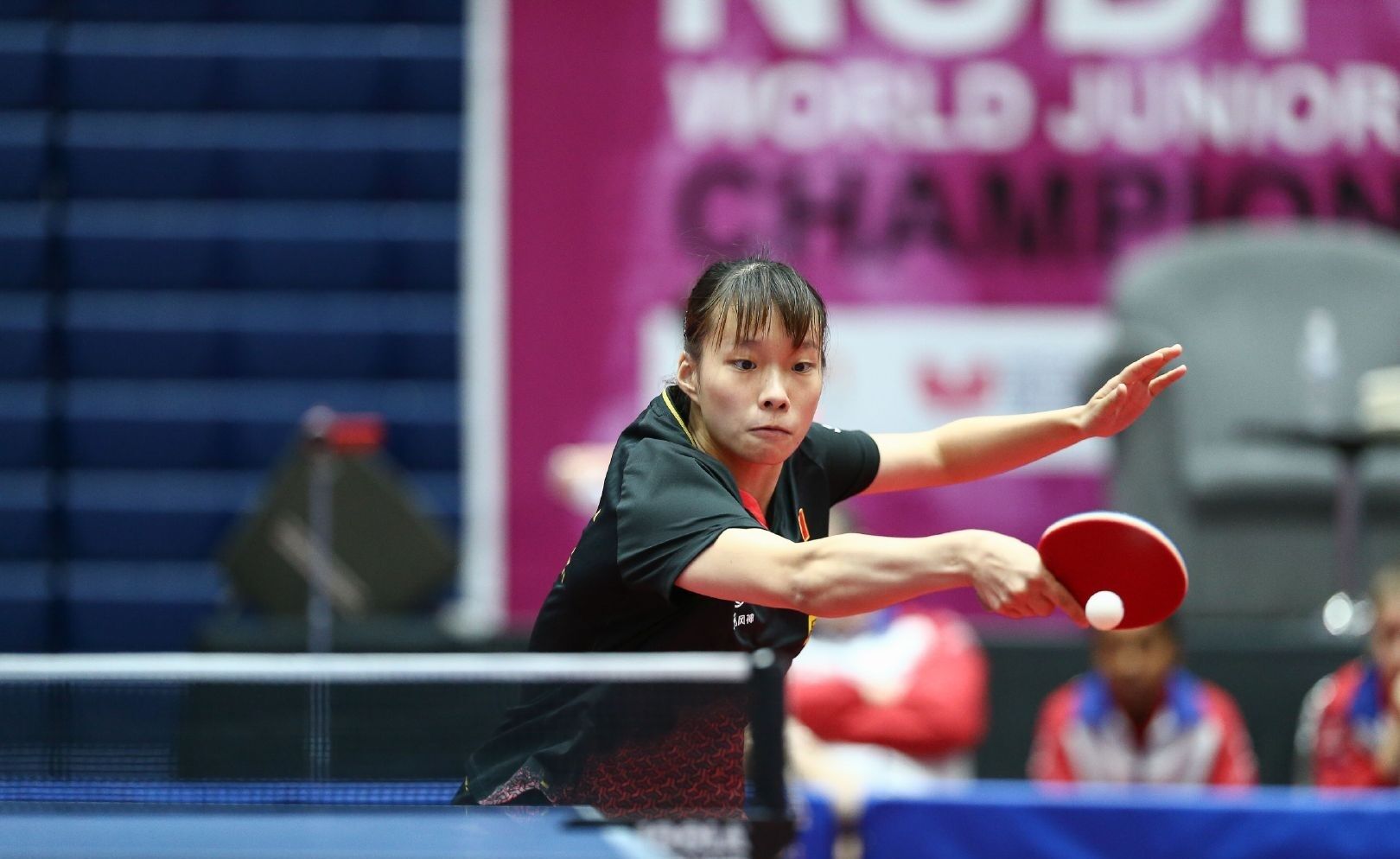 一些勇士 一些勇士