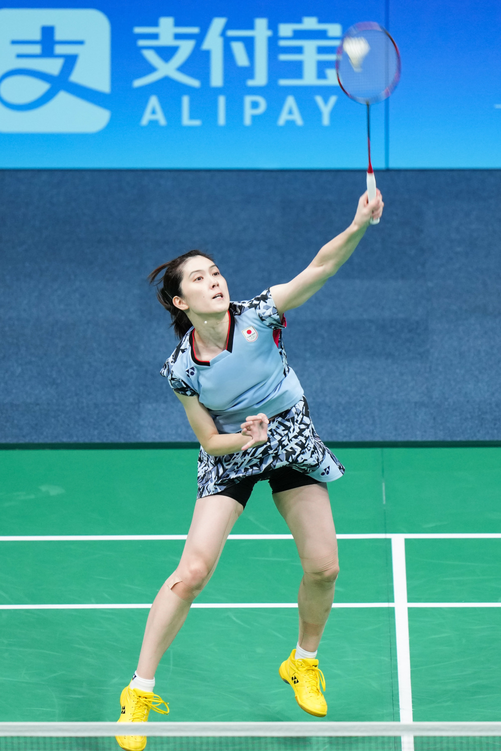 令人惊叹的 令人惊叹的