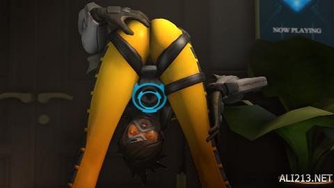 整个团队熠 整个团队熠