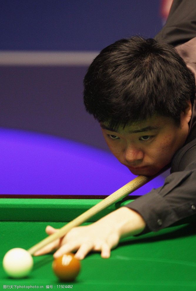 分地区的活 分地区的活